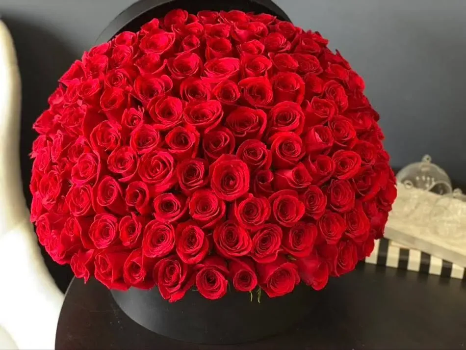 event planner & Designer