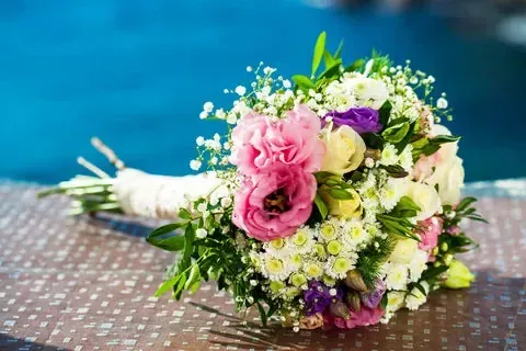 Flora Flowers